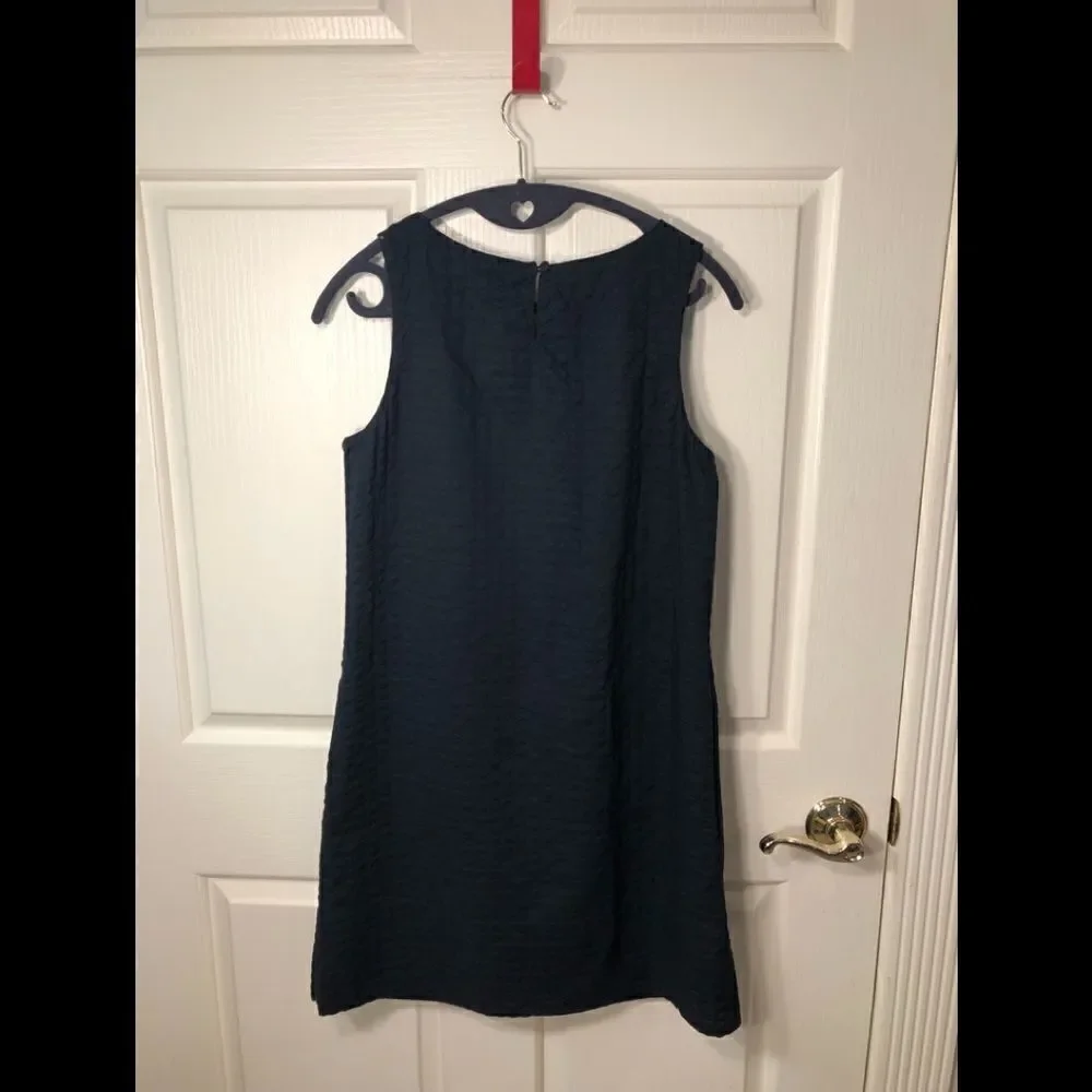 J. Crew dress